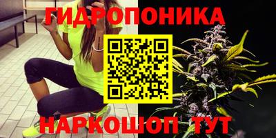 гидра Абакан