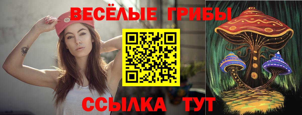 Псилоцибиновые грибы мицелий Алейск